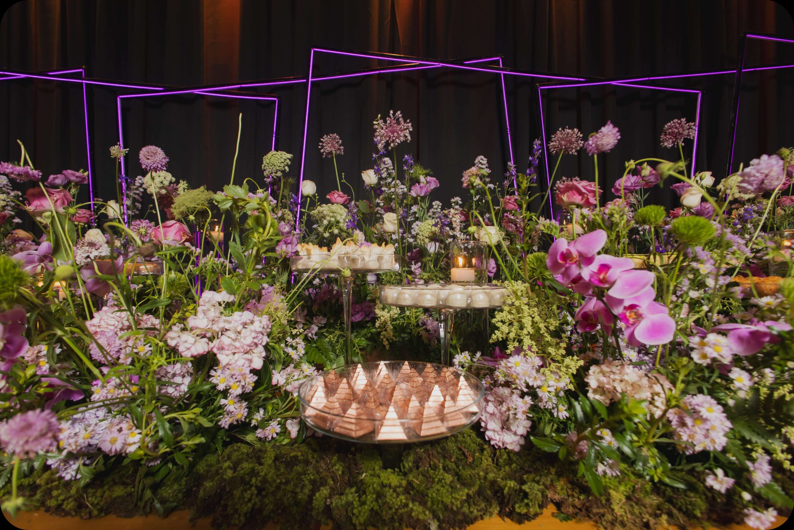 debutante-0156_11zon